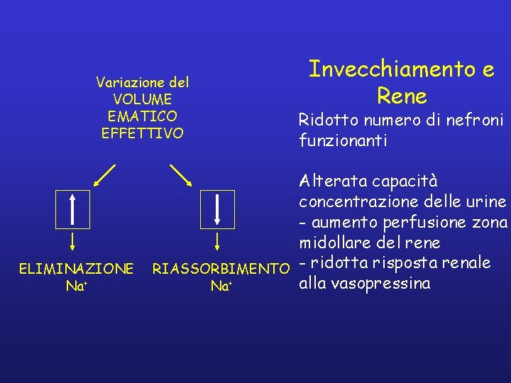 Variazione del VOLUME EMATICO EFFETTIVO ELIMINAZIONE Na+ Invecchiamento e Rene Ridotto numero di nefroni