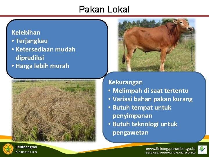 Pakan Lokal Kelebihan • Terjangkau • Ketersediaan mudah diprediksi • Harga lebih murah Kekurangan