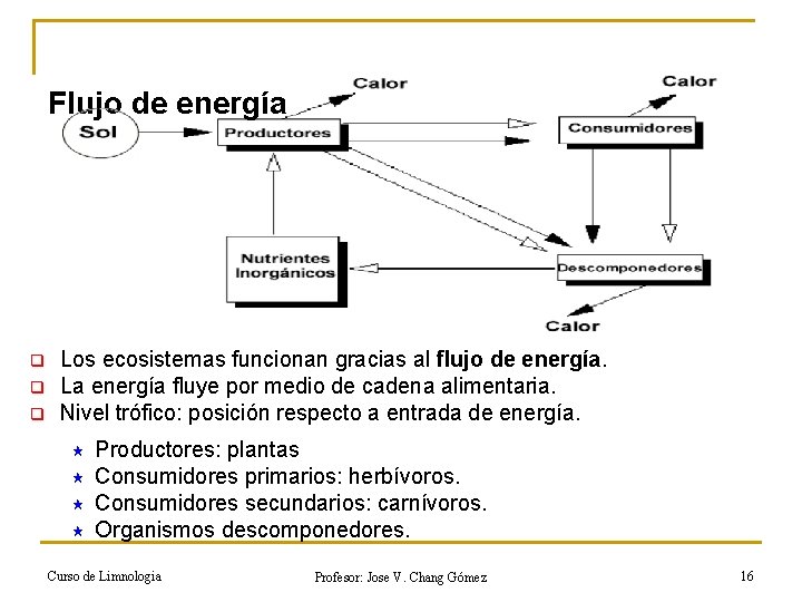 Flujo de energía q q q Los ecosistemas funcionan gracias al flujo de energía.