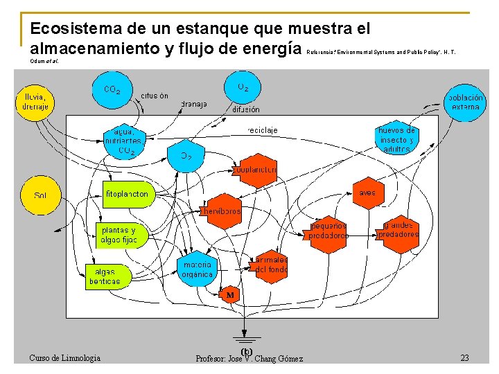 Ecosistema de un estanque muestra el almacenamiento y flujo de energía Referencia: "Environmental Systems