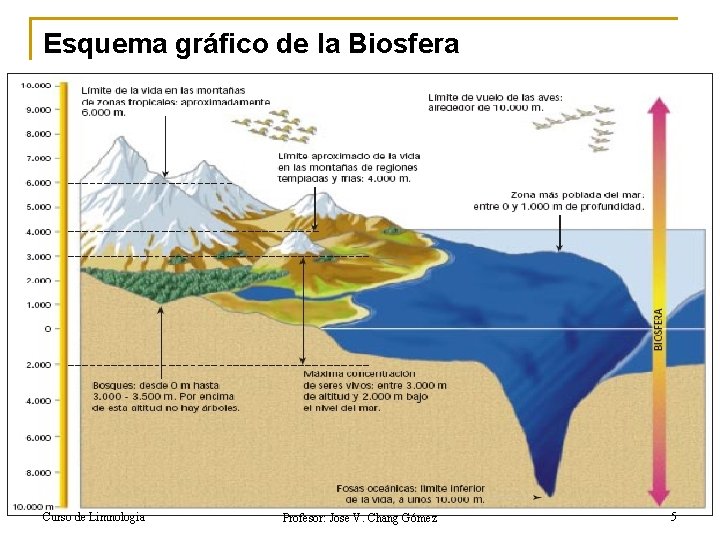 Esquema gráfico de la Biosfera Curso de Limnologia Profesor: Jose V. Chang Gómez 5