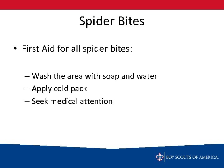 Spider Bites • First Aid for all spider bites: – Wash the area with