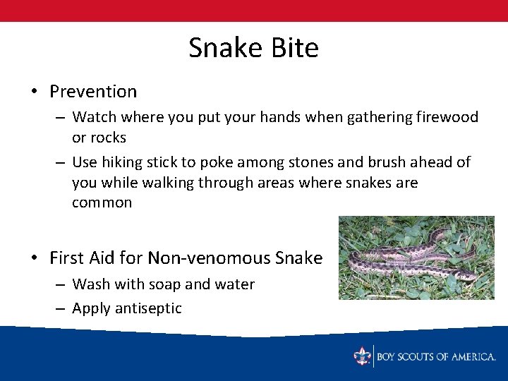 Snake Bite • Prevention – Watch where you put your hands when gathering firewood