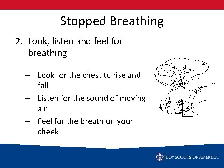 Stopped Breathing 2. Look, listen and feel for breathing – Look for the chest