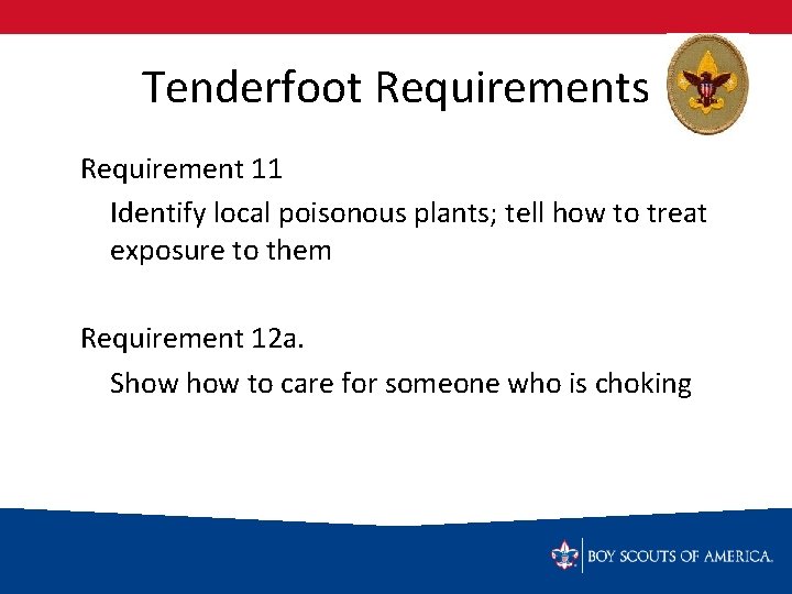 Tenderfoot Requirements Requirement 11 Identify local poisonous plants; tell how to treat exposure to