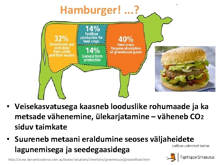 Hamburger!. . . ? • Veisekasvatusega kaasneb looduslike rohumaade ja ka metsade vähenemine, ülekarjatamine