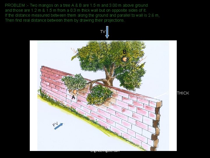 PROBLEM : - Two mangos on a tree A & B are 1. 5 PROBLEM : - Two mangos on a tree A & B are 1. 5