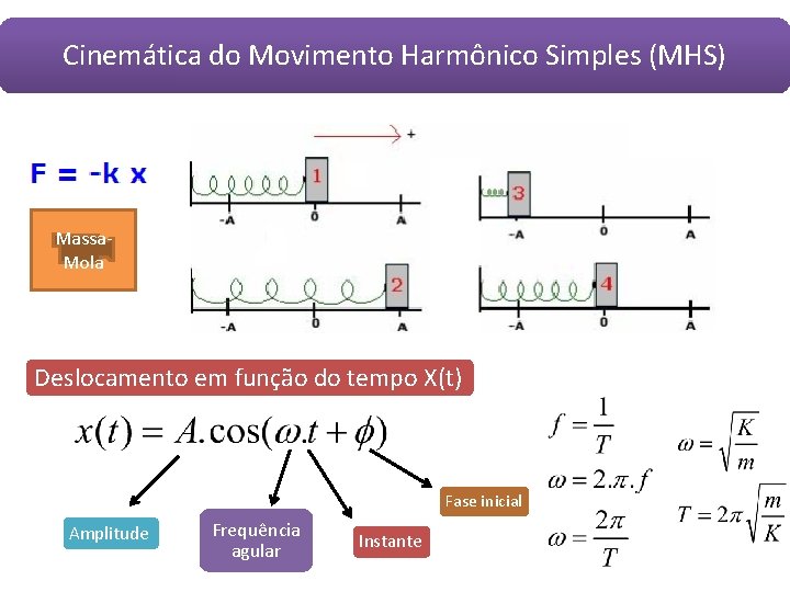 Cinemática do Movimento Harmônico Simples (MHS) Massa. Mola Deslocamento em função do tempo X(t) Cinemática do Movimento Harmônico Simples (MHS) Massa. Mola Deslocamento em função do tempo X(t)