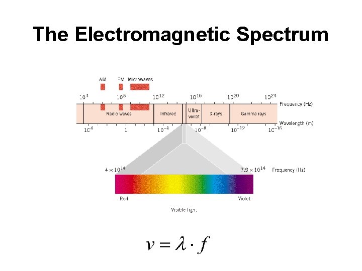 The Electromagnetic Spectrum 