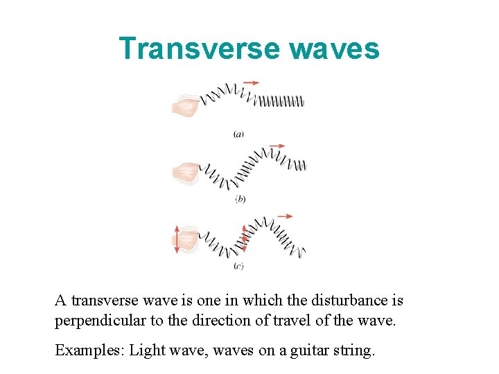 Transverse waves A transverse wave is one in which the disturbance is perpendicular to
