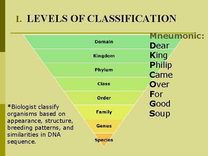 I. LEVELS OF CLASSIFICATION *Biologist classify organisms based on appearance, structure, breeding patterns, and