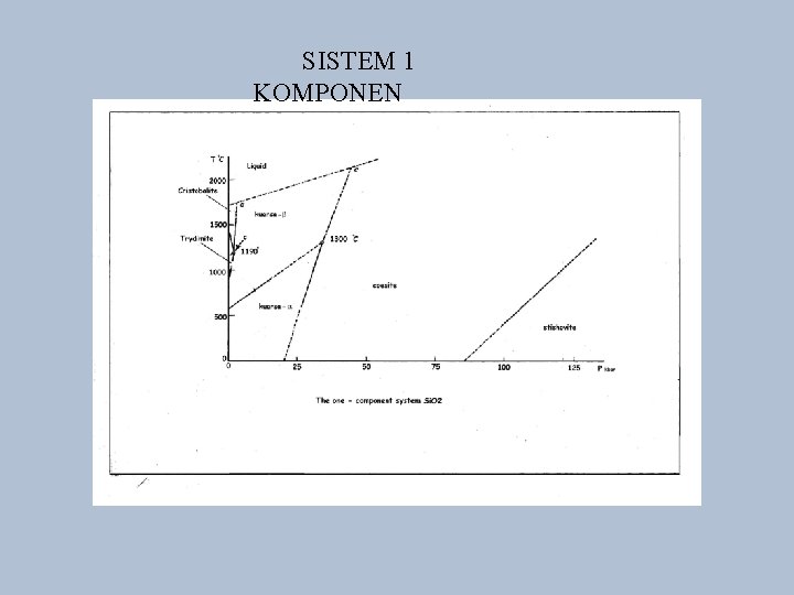 SISTEM 1 KOMPONEN 