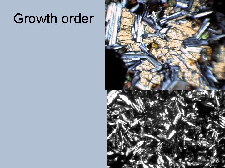 Growth order 