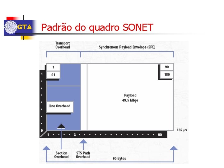 GTA Padrão do quadro SONET 