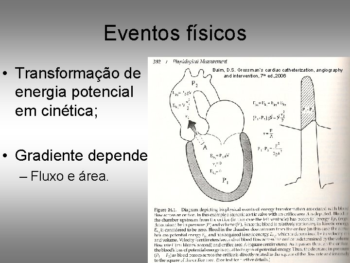 Eventos físicos • Transformação de energia potencial em cinética; • Gradiente depende: – Fluxo