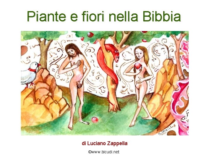 Piante e fiori nella Bibbia di Luciano Zappella ©www. bicudi. net 