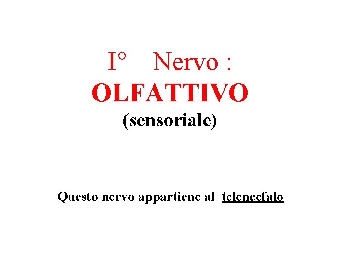 I° Nervo : OLFATTIVO (sensoriale) Questo nervo appartiene al telencefalo 