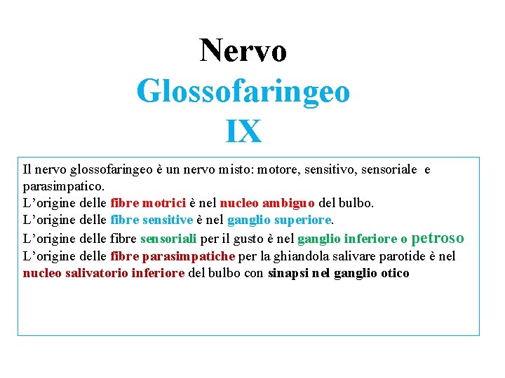 Nervo Glossofaringeo IX Il nervo glossofaringeo è un nervo misto: motore, sensitivo, sensoriale e