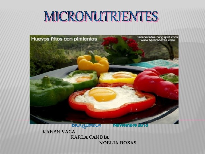 MICRONUTRIENTES KAREN BIOQUIMICA Noviembre 2013 VACA KARLA CANDIA NOELIA ROSAS 