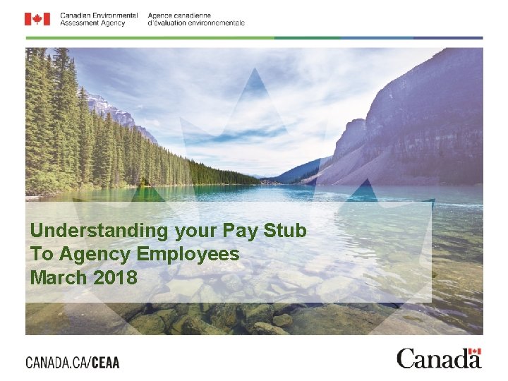 Understanding your Pay Stub To Agency Employees March 2018 Page 