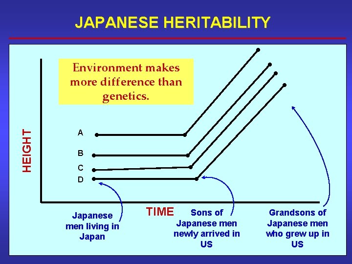 JAPANESE HERITABILITY HEIGHT Environment makes more difference than genetics. A B C D Japanese JAPANESE HERITABILITY HEIGHT Environment makes more difference than genetics. A B C D Japanese