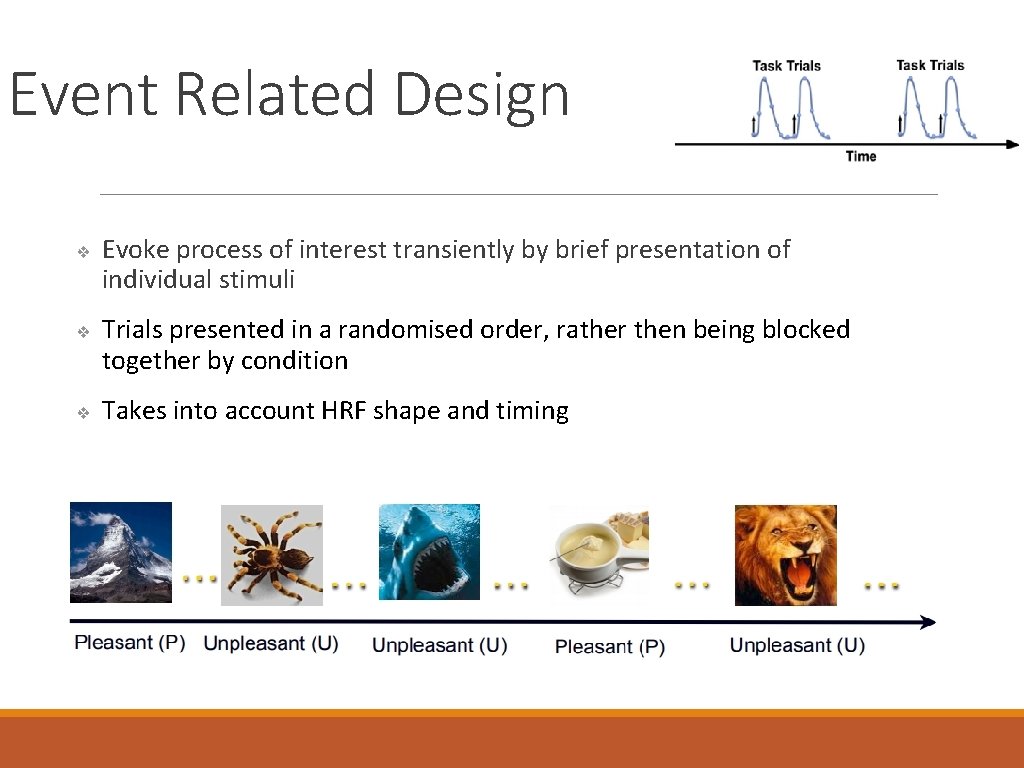 Event Related Design ❖ ❖ ❖ Evoke process of interest transiently by brief presentation