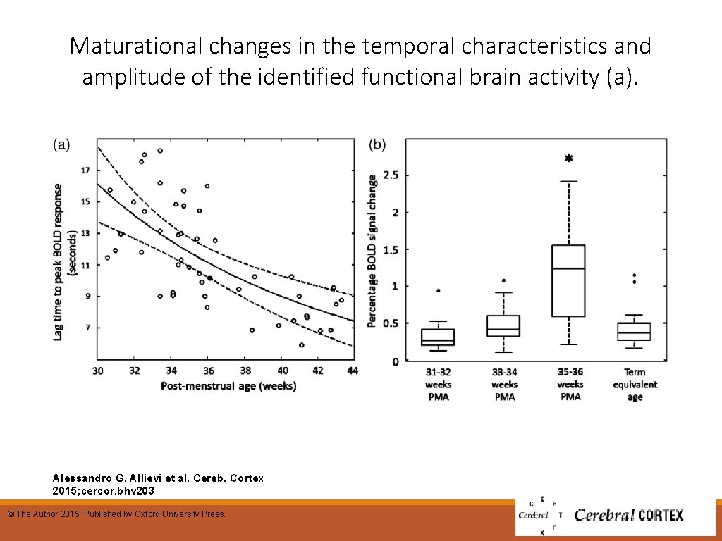 Maturational changes in the temporal characteristics and amplitude of the identified functional brain activity