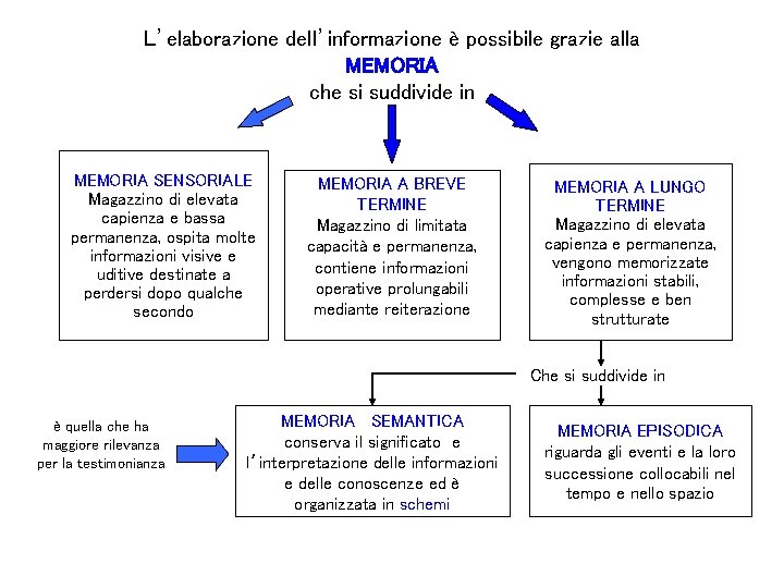 L’elaborazione dell’informazione è possibile grazie alla MEMORIA che si suddivide in MEMORIA SENSORIALE Magazzino