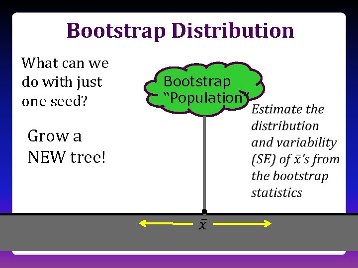 Bootstrap Distribution What can we do with just one seed? Bootstrap “Population” Grow a