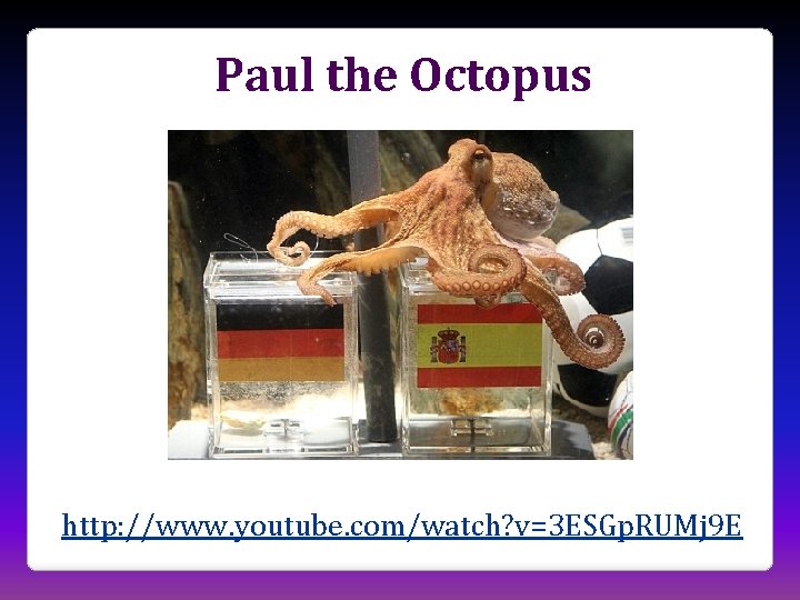 Paul the Octopus http: //www. youtube. com/watch? v=3 ESGp. RUMj 9 E 