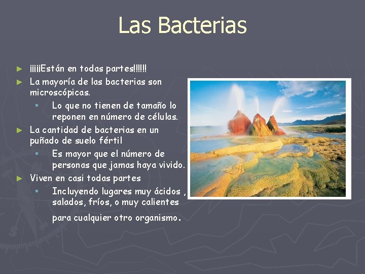 Las Bacterias ¡¡¡¡¡Están en todas partes!!!!!! ► La mayoría de las bacterias son microscópicas.