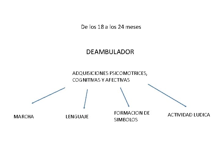 De los 18 a los 24 meses DEAMBULADOR ADQUISICIONES PSICOMOTRICES, COGNITIVAS Y AFECTIVAS MARCHA