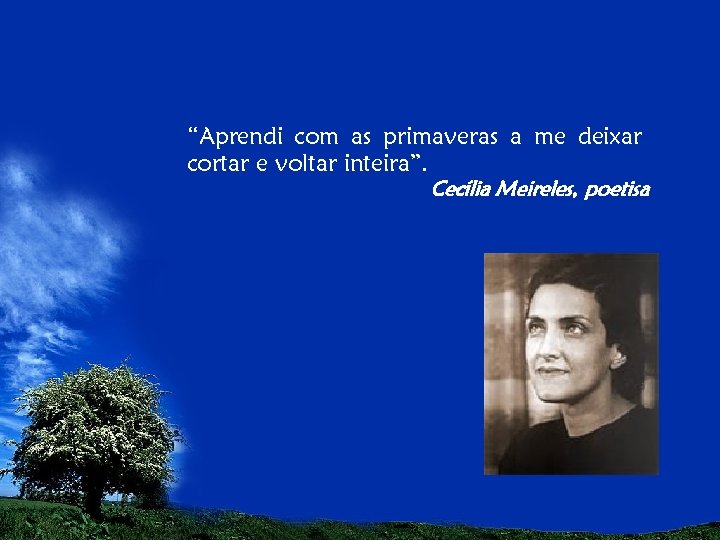 “Aprendi com as primaveras a me deixar cortar e voltar inteira”. Cecília Meireles, poetisa