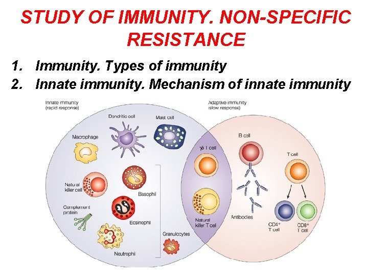 STUDY OF IMMUNITY. NON-SPECIFIC RESISTANCE 1. Immunity. Types of immunity 2. Innate immunity. Mechanism