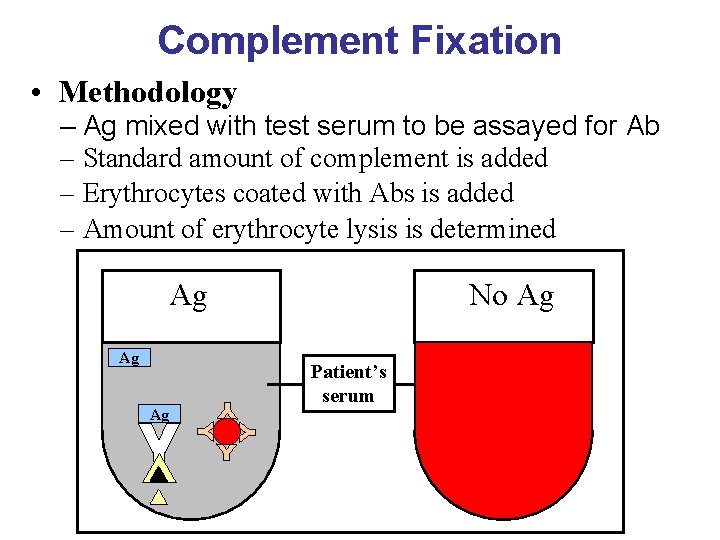Complement Fixation • Methodology – Ag mixed with test serum to be assayed for