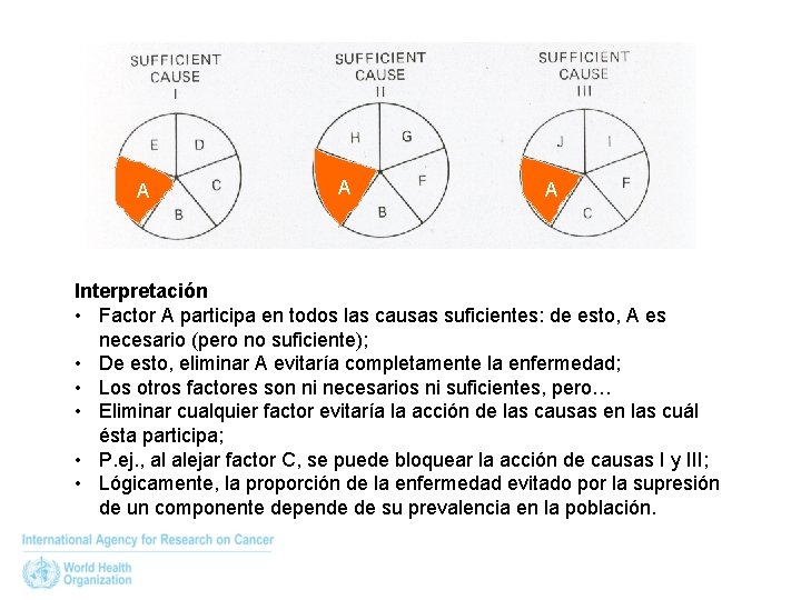 A A A Interpretación • Factor A participa en todos las causas suficientes: de