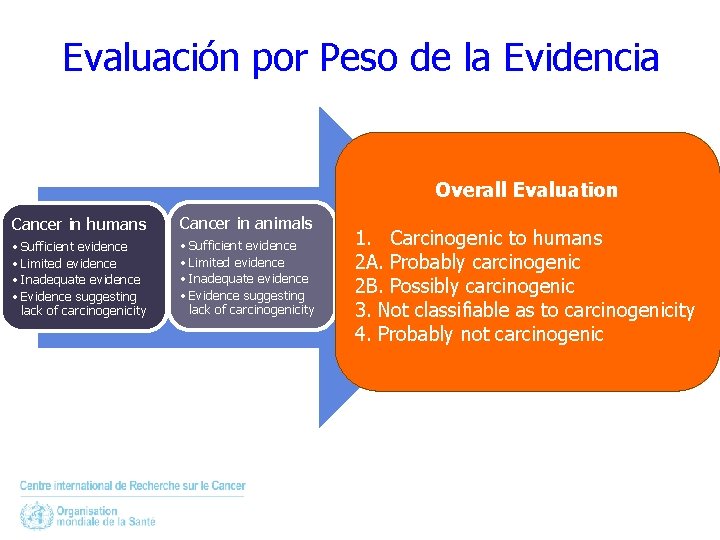 Evaluación por Peso de la Evidencia Overall Evaluation Cancer in humans Cancer in animals