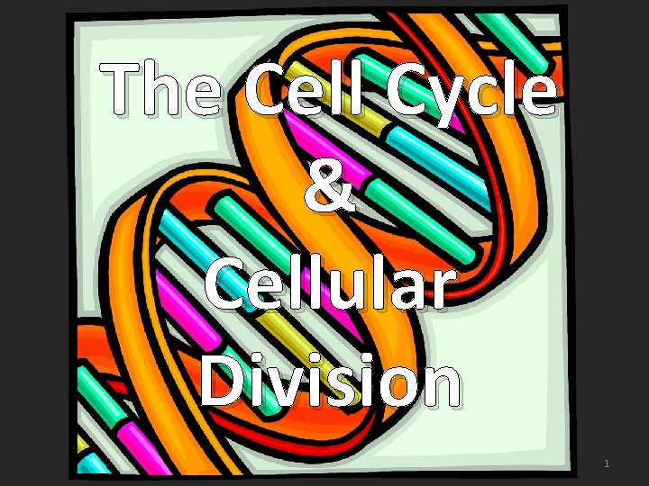 The Cell Cycle & Cellular Division 1 