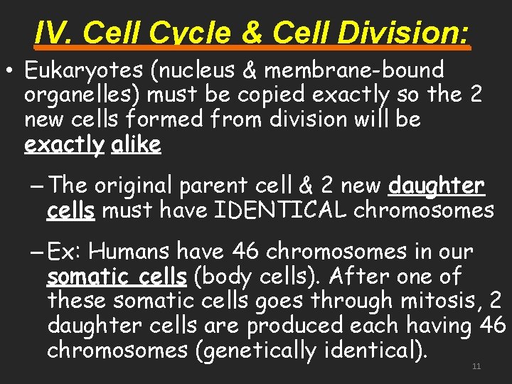 IV. Cell Cycle & Cell Division: • Eukaryotes (nucleus & membrane-bound organelles) must be