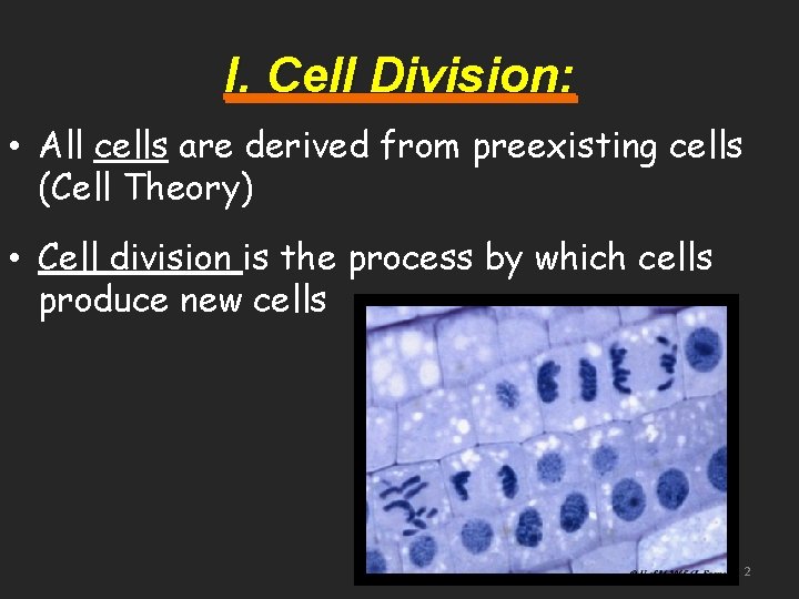 I. Cell Division: • All cells are derived from preexisting cells (Cell Theory) •