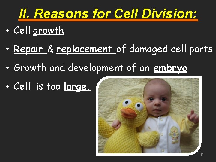 II. Reasons for Cell Division: • Cell growth • Repair & replacement of damaged