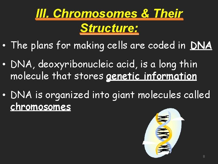 III. Chromosomes & Their Structure: • The plans for making cells are coded in