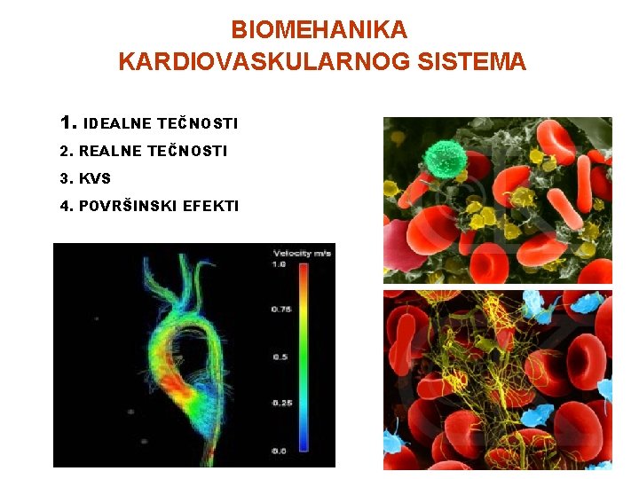 BIOMEHANIKA KARDIOVASKULARNOG SISTEMA 1. IDEALNE TEČNOSTI 2. REALNE TEČNOSTI 3. KVS 4. POVRŠINSKI EFEKTI