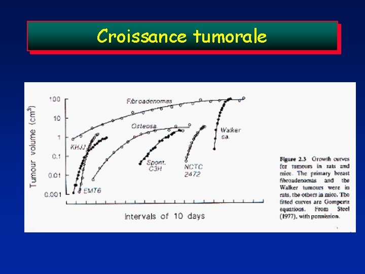 Croissance tumorale 