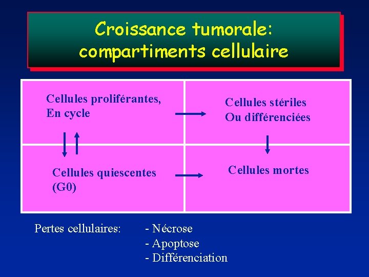 Croissance tumorale: compartiments cellulaire Cellules proliférantes, En cycle Cellules stériles Ou différenciées Cellules quiescentes