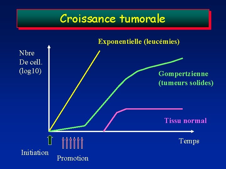 Croissance tumorale Exponentielle (leucémies) Nbre De cell. (log 10) Gompertzienne (tumeurs solides) Tissu normal