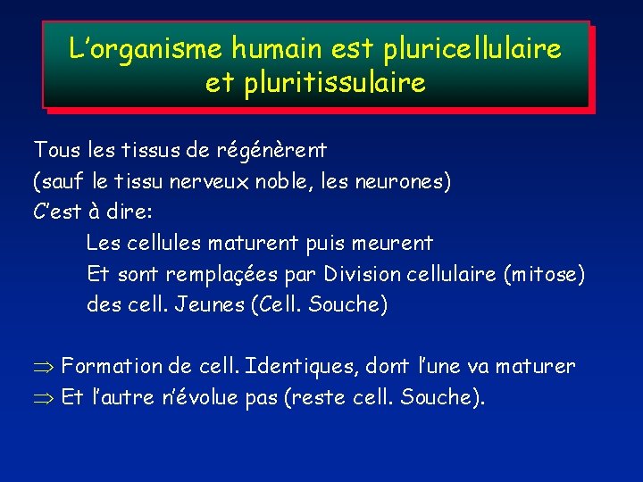 L’organisme humain est pluricellulaire et pluritissulaire Tous les tissus de régénèrent (sauf le tissu