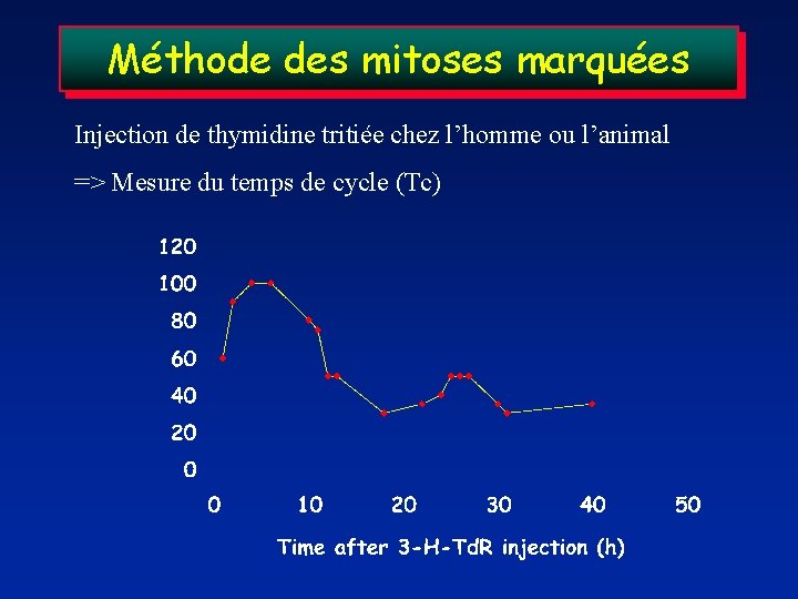 Méthode des mitoses marquées Injection de thymidine tritiée chez l’homme ou l’animal => Mesure