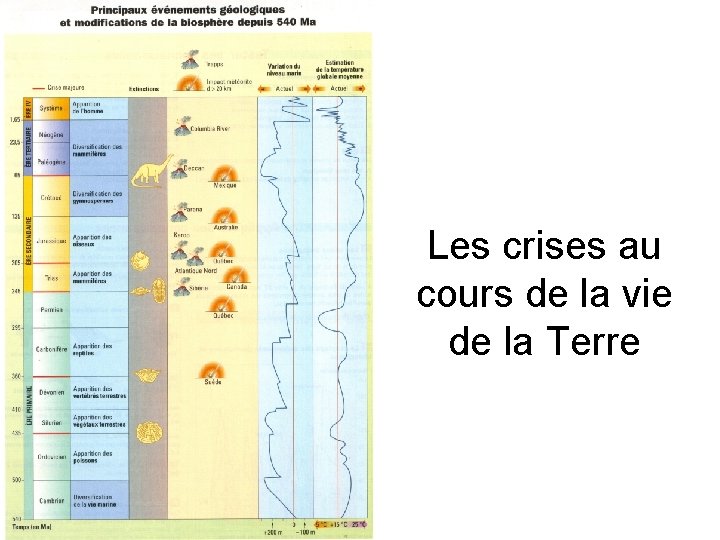 Les crises au cours de la vie de la Terre 