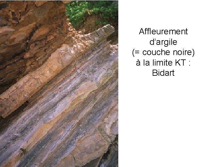 Affleurement d’argile (= couche noire) à la limite KT : Bidart 